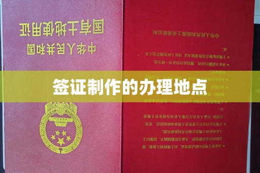 忠县签证制作的办理地点